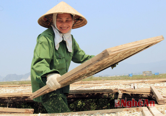 Dù vất vả giữa nắng, nhưng có cá về nhiều, có công việc để làm, có thu nhập là niềm vui đối với những người dân làng biển.