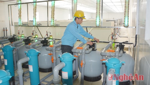 Vận hành hệ thống cấp nước đạt chuẩn cung cấp nước cho trại tôm giống Việt Úc(xã Quỳnh Minh)