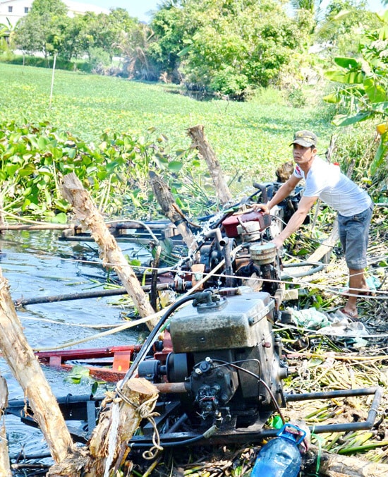 Trong khi đó, tại vùng bán đảo Gò Công (Tiền Giang), những ao, đìa nước ngọt còn sót lại đang rất quý giá, được người dân tận dụng tối đa để bơm vào ruộng cứu lúa.