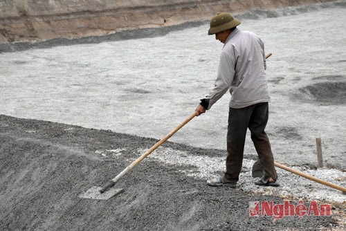 Ngay từ giữa tháng 2, ông Hoàng Xuân Tin, xóm Mai Giang, xã Quỳnh Bảng (Quỳnh Lưu) đã gia cố bờ ao nuôi tôm, chuẩn bị cho vụ tôm chính trong năm.