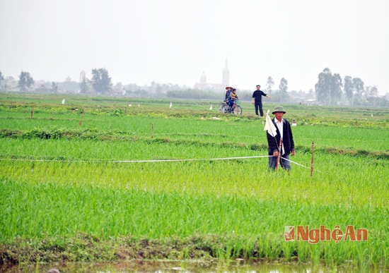 đến nay đã hoàn thành xong công tác cắm cọc GPMB và mốc lộ giới đường bộ tại dự án và đã bàn giao cho Hội đồng GPMB huyện Quỳnh Lưu