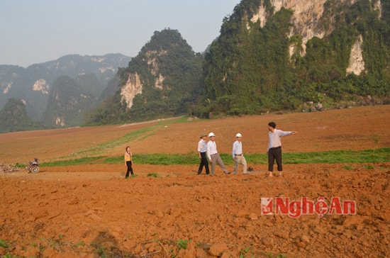 Thung Bừng thuộc thôn Hạ Du của xã Cẩm Sơn nằm cách trung tâm xã 4km. Gần 7 năm trước, đây là vùng đất hoang vu, khô cằn, gần 78 ha chè công nghiệp bà con canh tác nơi đây từng chết vì hạn hán. Với quyết tâm và ý tưởng tạo bước đột phá mới cho vùng nguyên liệu, sau chuỗi ngày dài khảo sát, cuối năm 2015, Ban lãnh đạo Công ty đã huy động máy móc, hoàn thiện san lấp, cải tạo mặt bằng chỉ không đầy trong 20 ngày, một Thung Bừng ngủ yên  bao lâu đã được đánh thức.