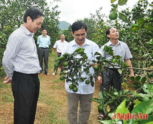 Ban Kinh tế ngân sách HĐND tỉnh giám sát công tác quản lý và sử dụng