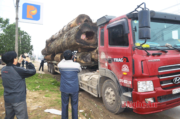 Việc thanh tra giao thông phát hiện vi phạm xe gỗ Lào quá khổ quá tải được truyền thông quan tâm.