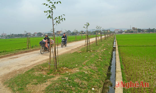 Hệ thống kênh mương, thủy lợi nội đồng được đầu tư hàng tỷ đồng đáp ứng nhu cầu sản xuất