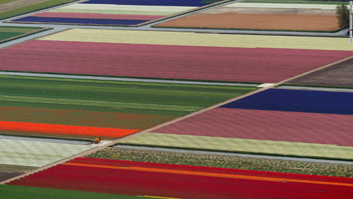Xứ sở hoa tulip – Hà Lan đứng ở vị trí thứ 7. Keukenhof Gardens là địa điểm vô cùng nổi tiếng ở quốc gia này.