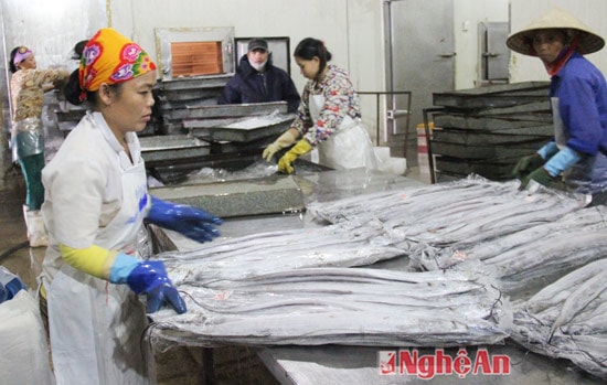 Chế biến cá xuất khẩu ở Công ty Phương Mai - Quỳnh Phương, Hoàng Mai