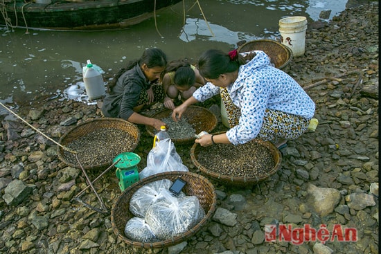 Cảnh mua bán diễn ra ngay tại bến thuyền