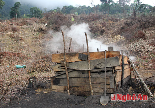                                 Một lò đốt than củi đang hoạt động tại Khe Quến (Quỳ Châu).