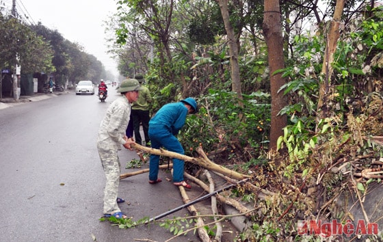 Cán bộ, chiến sỹ Trường Quân sự tỉnh Nghệ An ra quân làm vệ sinh, tháo gỡ các bờ rào trên vải hè đường Tuệ Tĩnh