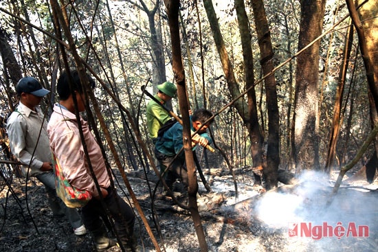 Lửa đã tắt nhưng một số đám cháy vẫn còn xuất hiện nên mọi người phải dùng biện pháp dập triệt để không để lại tàn đốm