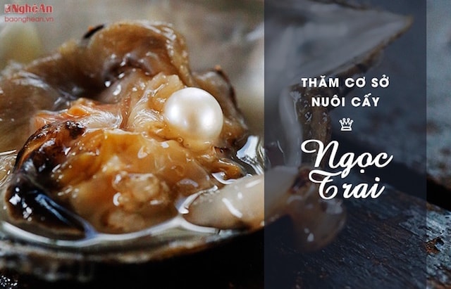 Ngọc trai là một trong những đặc sản nổi tiếng nhất của Phú Quốc và được trưng bày ở nhiều gian hàng bán quà lưu niệm trên đảo. Tuy nhiên, hãy dành thời gian ghé thăm các cơ sở nuôi cấy ngọc trai để hiểu rõ hơn về quá trình hình thành nên món quà tuyệt vời của tự nhiên này.