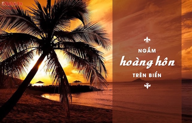 Cảnh hoàng hôn trên biển ở Phú Quốc cực kỳ đẹp. Hãy chắc rằng mình mang theo máy ảnh trong hành trang bởi bạn sẽ không muốn bỏ lỡ cảnh tượng tuyệt vời này.