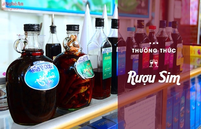 Những quả sim được ủ và chiết xuất thành rượu sim với nồng độ khác nhau và vị ngọt dịu dễ uống, có tác dụng chữa nhức mỏi, tốt cho hệ tiêu hoá. Với giá trung bình từ 100.000 đồng/chai, rượu sim có thể trở thành món quà lưu niệm lý tưởng sau chuyến đi đến Phú Quốc.