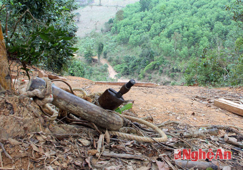 Chiếc ách trâu kéo gỗ do người dân bỏ lại trên dốc Lao sau khi phát hiện đoàn kiểm tra  