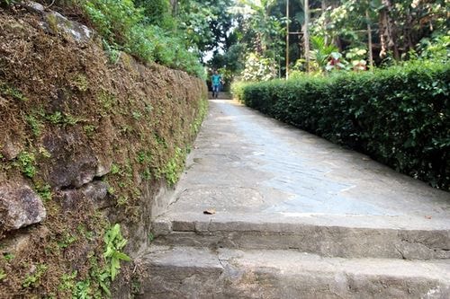 Ngôi nhà nằm ở lưng chừng một ngọn đồi, hướng ra cánh đồng lúa, cao hơn những nhà trong làng khoảng 50 mét. Con ngõ dẫn lên ngôi nhà nhỏ hẹp, một bên là bờ đá hàng trăm năm tuổi rêu phong phủ kín, một bên là hàng chè tàu được cắt tỉa kỹ càng.