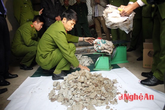 Lực lượng công 