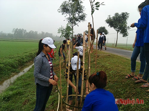 Đoàn viên thanh niên trồng cây xanh- thực hiện công trình thanh niên cấp huyện.