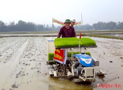 Trình diễn cơ giới hoá nông nghiệp. Ảnh: Phú Hương