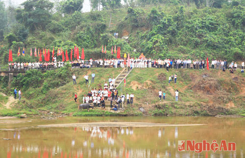 tắm trâu ở sông