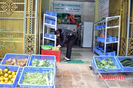 Công ty CP Phủ Diễn APG (Diễn Châu) là doanh nghiệp hoạt động dịch vụ sau thu hoạch, hiện đã có nhiều hoạt  động hướng dẫn nông dân áp dụng khoa học kỹ thuật vào sản xuất rau sạch, đồng thời bao tiêu sản phẩm cho bà con, từng bước xây dựng thương hiệu rau sạch, an t oàn cho bà con nông dân. Hiện nay doanh nghiệp này đã mở gian hàng giới thiệu sản phẩm sạch tại phường Hưng Phúc, Tp.Vinh.