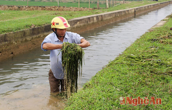 Nạo vét, vơ dọn kênh mương giúp thông thoáng dòng chảy.