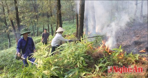 Xử lý thực  bì tại Nam Hưng - Nam Đàn.