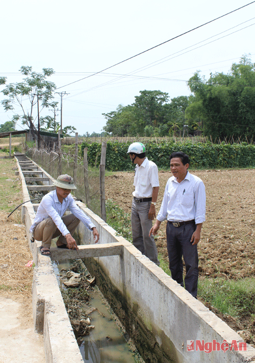 Phần lớn diện tích ở các xã Thuận Sơn, Trung Sơn đang thiếu nước sản xuất hè thu