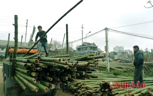Những cây tre, cây mét thẳng nhất được chọn lựa riêng để làm thang