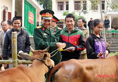 Đại tá Hà Tân Tiến - Ủy viên BTV Tỉnh ủy, Chỉ huy trưởng Bộ CHQS tỉnh trao bò giống cho người nghèo.