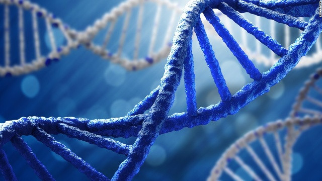 DNA của bào thai có thể nhìn thấy trong huyết tương của người mẹ.