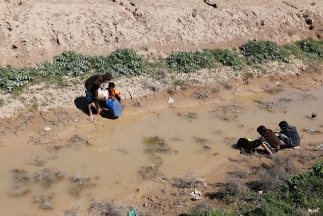 Các cậu bé đi lấy nước từ đầm lầy ở Đông Bắc Baghdad, Iraq.