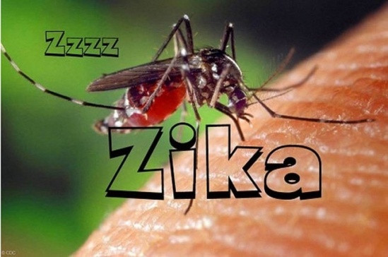 Muỗi truyền sốt xuất huyết lây truyền virus Zika.