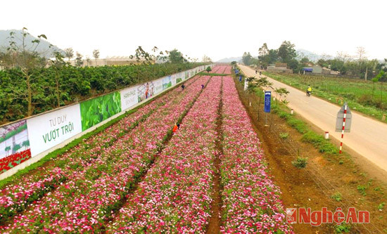 Vườn hoa trải dài hơn 1km, có diện tích khoảng hơn 1ha tạo cảm giác thích thú.