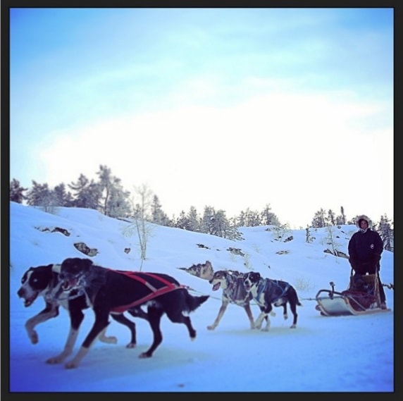 Trượt tuyết cùng những chú chó kéo xe ở Yellowknife. Ảnh: Instagram.