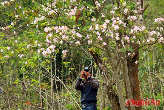 Nhà nhiếp ảnh