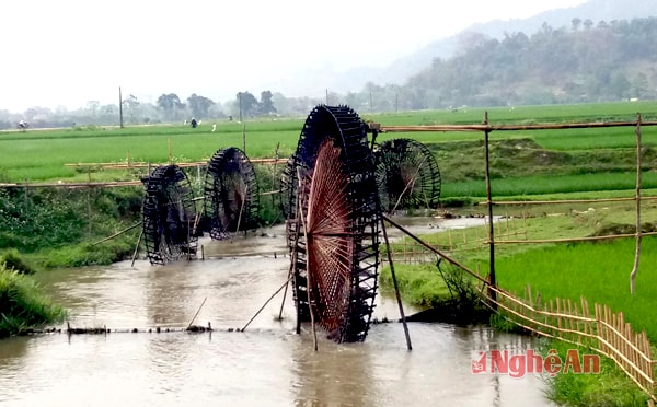 Xã Tiền Phong (Quế Phong) người dân tự làm hàng trăm guồng nước để chống hạn cho cây lúa