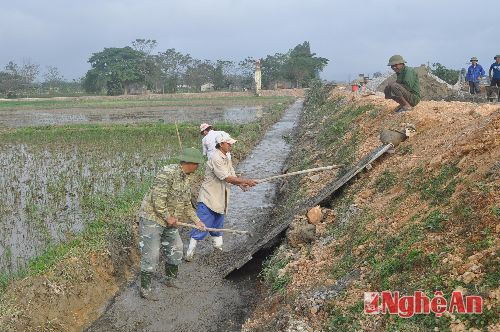 Bê tông hóa kênh mương nội đồng ở Hưng Phúc (Hưng Nguyên).