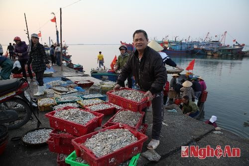 Ngư dân phường Nghi Hải ( Cửa Hội ) TX Cửa Lò đước mùa cá cơm. (Ảnh Xuân Nhường)