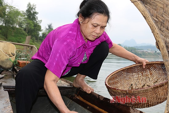 Vợ ông Đường cùng chồng thả đụt mưu sinh trên sông