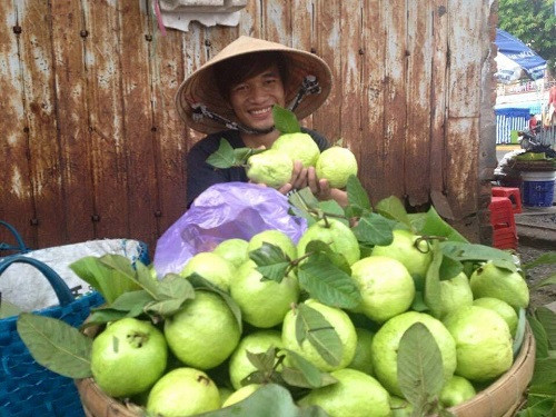 Lệ Rơi và công việc bán ổi trước đây.