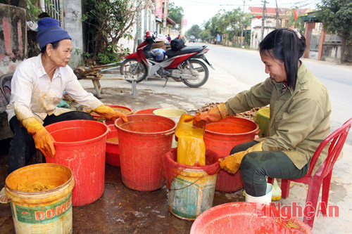 Cơ sở sản xuất tinh bột nghệ của gia đình chị Nguyễn Thị Hải, xóm 8, xã Quỳnh Hậu. Chị bắt đầu làm nghề từ năm 2009, đến nay cơ sở của chị vẫn hoạt động có hiệu quả, sản phẩm làm ra đều được xuất bán khắp thị trường.