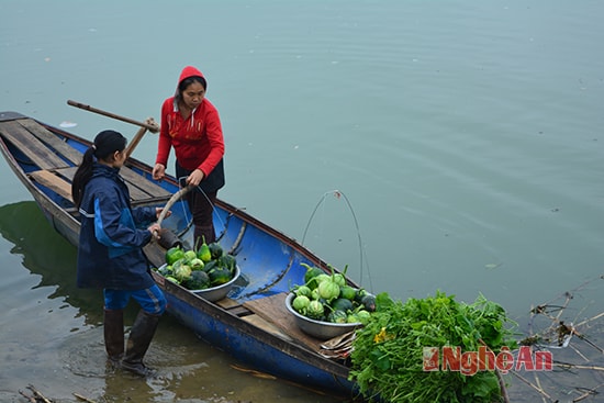 Và vận chuyển bằng thuyền