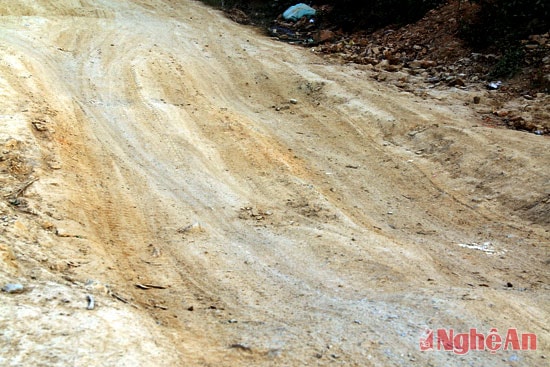 Mùn bám dày thành từng lớp.