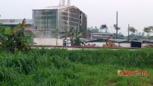 Khu vực nhà máy, nơi diễn ra vụ cháy.