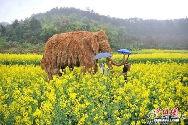 Những con vật ở đây là khủng long T-Rex, trâu nước hay các loài động vật có vú,…