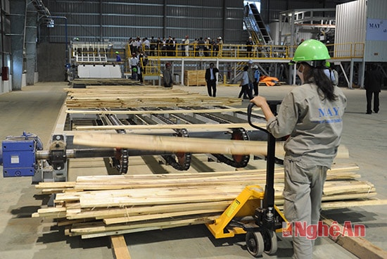 Gỗ được chế biến tại Công ty Cổ phần Lâm nghiệp Tháng Năm. 