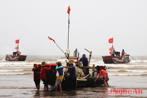 Sau một đêm đánh bắt, ngư