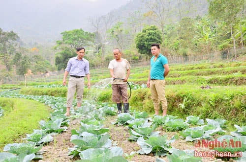 Đồng chí Nguyễn Hữu Lượng (ngoài cùng bên trái) – Phó Bí thư Đảng ủy, Chủ tịch UBND xã Hữu Kiệm, Kỳ Sơn đang cùng nông dân bản Na Lượng 1 kiểm tra hiệu quả mô hình trồng rau sạch.