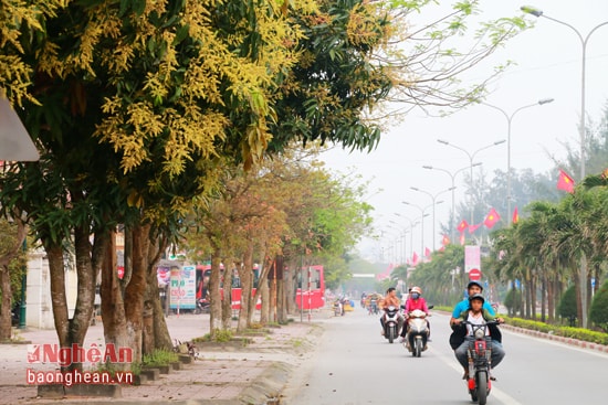 Mùa du lịch Cửa Lò, được chào đón bằng những đường hoa với muôn sắc màu rực rỡ